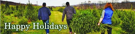 Click here to learn everything you need to know about the history of the Christmas tree and how it became a holiday
