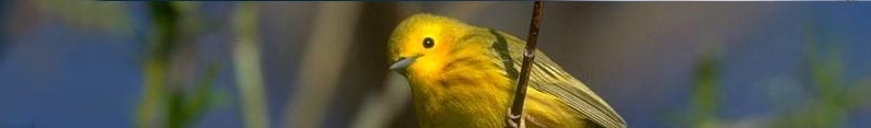 Greet the Morning -- and our feathered friends too! Free event: Audubon Society of Portland Morning Bird Walk at Nadaka Nature Park: May 31, 2012 7:30AM-8:30AM. Info here!
