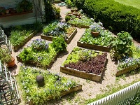 Free Workshop, Creating an Edible Landscape: Sat, May 18, 2019 9AM-11:30AM. Info here!