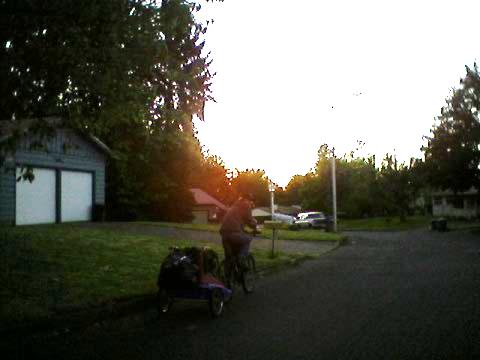 West Gresham: Warning, curbside garbage prowler spotted 164h Ave & NE Holiday St. About 5:30AM July 7, 2010 a scruffy looking 25-35 year old male on a bicycle w/toddler trailer was seen sifting through several curbside trash bins in the area. Photo here! If you see this guy you are urged to call the police.