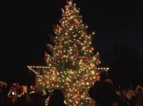 Join the fun! Celebrate The Spirit of Christmas: Sat Nov 28, 2013 5PM-6:30PM. 24th Annual Spirit of Christmas tree lighting rings in Gresham’s holiday season with a family-friendly program that includes music, photos with Santa, refreshments and more! Info here!