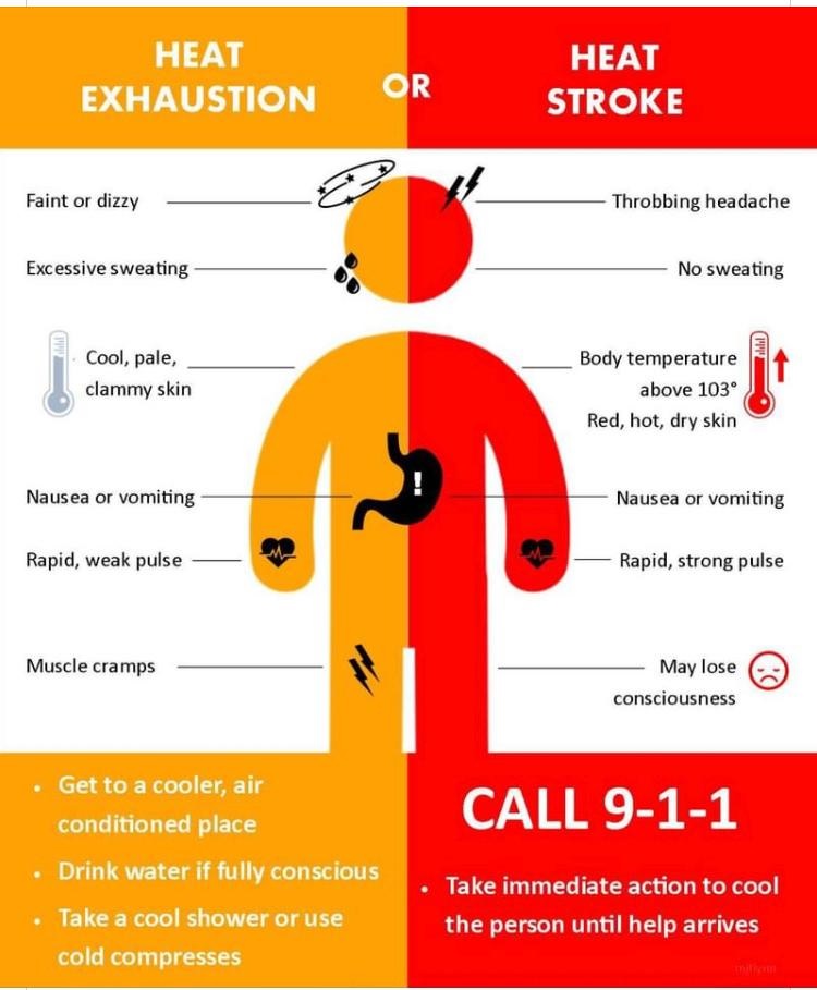 Know the signs of heat exhaustion and heat stroke. It could save a live