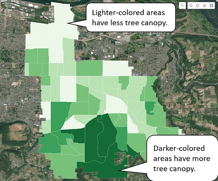 Rockwood/West Gresham tree canopy density