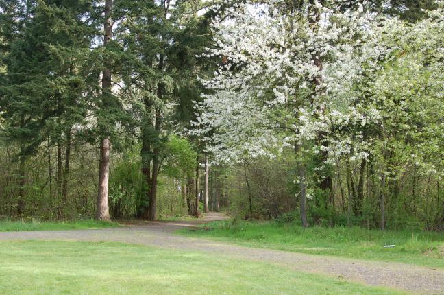 Nadaka Nature Park, lifting spirits with its peace and beauty. A tranquil place in the heart of the suburbs, this lovely little park feels so 'Oregon'.