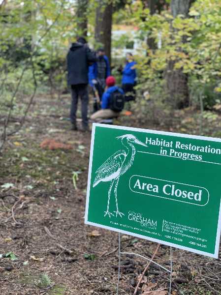 PGEs Project Zero interns help in forest restoration at Nadaka Park in Gresham. Info here!