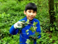 Volunteer! Join us for 'No Ivy Day' at Nadaka Nature Park: Oct 29, 2016 9AM-12PM No Experience Needed. Info here!