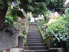 Free! Ten Toe Express Walk - Alameda Ridge and Stairs: Jun 4, 2011 9AM-11AM. Info here!