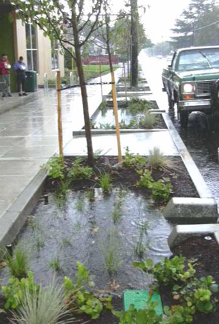 Stormwater planters, born in Portland Oregon are being replicated nationwide for 'green' stormwater management. Info here!