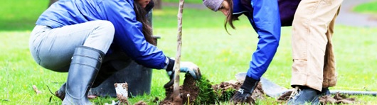 Arbor Day Tree Planting: Sat, Apr 16, 2022 9AM-12PM. Columbia View Park. Info here!