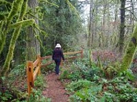 Senior Healthy Hikers - Cazadero Trail Hike, Boring: Tue, Dec 29, 2020 10AM-2PM. Let's Go Walking! Info here!