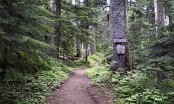 Senior Healthy Hikers, Top Spur Hike: Thu, Aug 06, 2020 10AM-5PM. Let's Go Walking!. Info here!