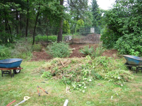 Clearing the new nature based play area at Nadaka Nature Park
