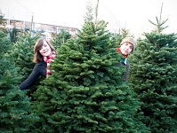 Get your fresh cut tree straight from the farm without all the hassle of the cold and the mud. Nobles $15ea. Reynolds Learning Academy, 201st & NE Halsey, Info here!