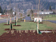 Gresham’s Arbor Day Celebration 2011; Gradin Arboretum: Apr 9, 2011 9AM-12PM. Info here!