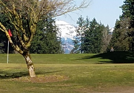 Metro regional government wants your ideas, Glendoveer trail forum: Mon Mar 18, 2019 5:30PM-7:30PM. Info here!