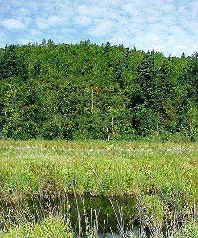 Invitation to Celebrate Grant Butte Wetlands: Sun Sep 14, 2014 2:30-4:30PM. Info here!