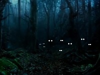 Free! Haunted Forest at Glendoveer Golf Course; Thu Oct 31, 2013 6PM-8PM. Cobwebs Ghouls & Ghosts, LaserTag and more! Sponsored by Umpqua Bank. Info here!