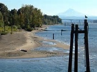 Senior Healthy Hikers, Tidewater Cove Walk: Wed Jun 17, 2015 10AM-5PM. Info here!