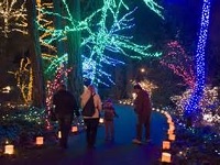 Grotto Festival of Lights, Portland OR