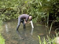 Johnson Creek Watershed Council seeks volunteers for native freshwater mussel surveys this summer, July-Sept 2011. This event represents a unique opportunity for the general public to assist with important field research. Apply here!