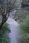 Johnson Creek