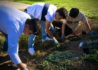 Volunteer! Friends of Trees, Nadaka Nature Park Work Party: Sat Nov 23, 2019 9AM-1PM. Gloves, tools and refreshment provided. 176th & NE Glisan, Gresham. Info here!