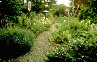 Free Naturescaping Workshop: Sat, Mar 09, 2019 9AM-1PM. Saving Our Streams. Info here!