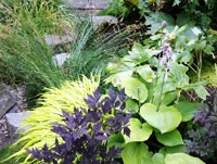Naturescaping Basics Workshop, Troutdale: Sat, Mar 24, 2018 9AM-1PM. Saving Our Streams. Info here!
