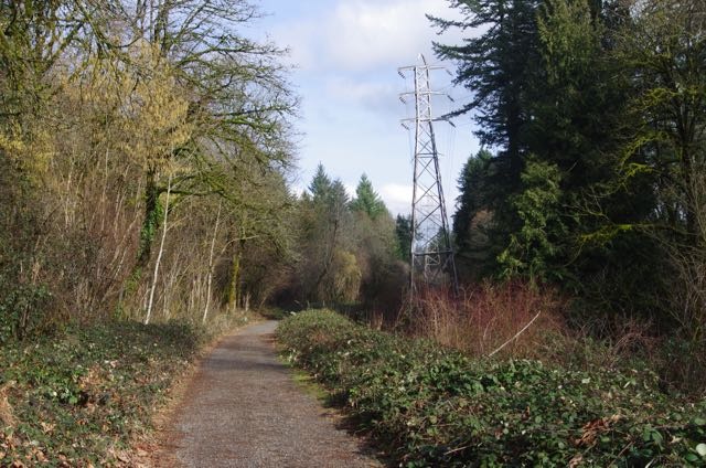 City of Gresham Senior Healthy Hikers, Cazadero Trail Hike: Wed, Nov 20, 2019 9AM-5PM. Let's Go Walking! Info here!