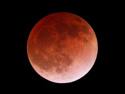 MHCC Planetarium Sky Theater, Season Opening: Two Special Eclipses & The Autumn Sky: Tue Oct 7, 2014 6-9PM. 3 showtimes. Info here!