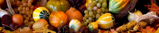 Thanksgiving is a time to reflect on everything you’ve been given, and be grateful for all that you have.