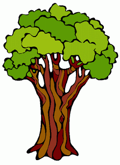 East County Parks and Tree Summit: Oct 4, 2008