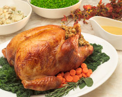 Smart Holiday Cooks Keep Grease Out of the Sink.  Info here!