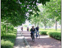City of Gresham Urban Forestry Management Plan, Council Adoption: Jul 19, 2011 3PM. Info here!