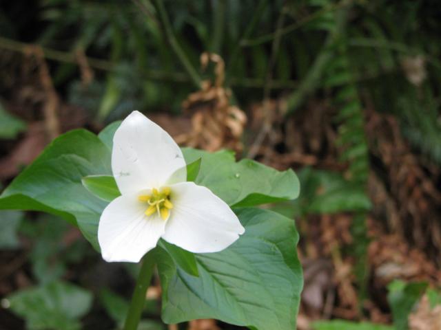 Natural Resources and Sustainability Committee Meeting: Apr 12, 2011 6:30PM. Info here!