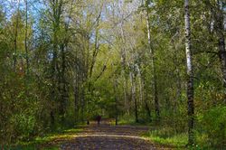 City of Gresham Senior Healthy Hikers, 40-Mile Loop Trail Hike: Thu, Mar 05, 2020 10AM-5PM. Let's Go Walking! Info here!