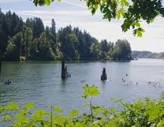 City of Gresham Senior Healthy Hikers, Canby Logging Road Hike: Sat, Mar 09, 2019 9AM-5PM. Let's Go Walking! Info here!