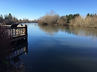 City of Gresham Senior Healthy Hikers, Commonwealth Lake Walk: Wed, Feb 21, 2018 9AM-5PM. Let's Go Walking! Info here!