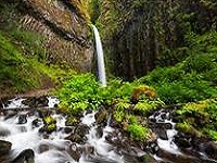 Senior Healthy Hikers: Dry Creek Falls Hike: Tue Nov 17, 2015 9AM-5PM. Info here!