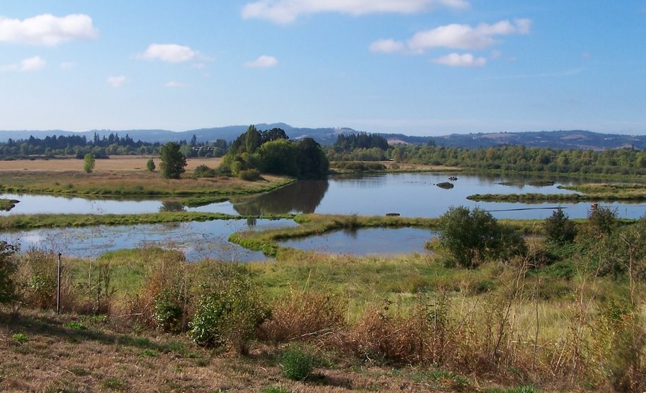 City of Gresham Senior Healthy Hikers, Jackson Bottom Wetlands Walk: Tue, Feb 27, 2018 9AM-5PM. Let's Go Walking! Info here!
