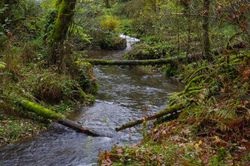 City of Gresham Senior Healthy Hikers, Milo McIver State Park Riverside Loop Hike: Wed, Mar 20, 2019 9AM-5PM. Let's Go Walking! Info here!