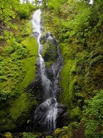 City of Gresham Senior Healthy Hikers, Nick Eaton Falls Hike: Tue, Mar 24, 2020 9AM-5PM. Let's Go Walking! Info here!