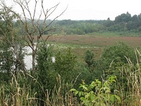 Senior Healthy Hikers - Oaks Bottom Nature Trail Hike: Thu, Dec 03, 2020 10AM-2PM. Let's Go Walking! Info here!