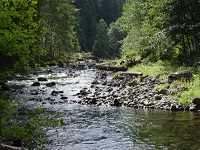 Senior Healthy Hikers: Old Salmon River Trail Hike: Tue May 24, 2016 9AM-5PM. Get involved, make a difference. Info here!