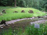 Senior Healthy Hikers, Springbrook-Iron Mountain Loop Hike: Tue Jul 28, 2015 8:30AM-5PM. Info here!