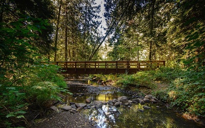 City of Gresham Senior Healthy Hikers, Tickle Creek Trail Hike: Tue, Nov 27, 2018 10AM-5PM. Let's Go Walking! Info here!