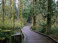 Senior Healthy Hikers: Tualatin Hills Nature Park Loop Hike: Thu Nov 05, 2015 9AM-5PM. Info here!