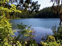 Senior Healthy Hikers, Lower Twin Lakes Hike: Thu, Oct 05, 2017 9AM-5PM. Let's Go Walking!. Info here!