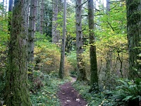 Senior Healthy Hikers, Whipple Creek Trail Hike: Tue Oct 27, 2015 8AM-5PM. Info here!