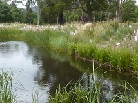 City of Gresham Wetland Planting at Wisteria: Sat, May 18, 2019 9AM-12PM. Info here!